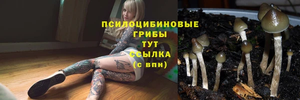 бошки Осинники
