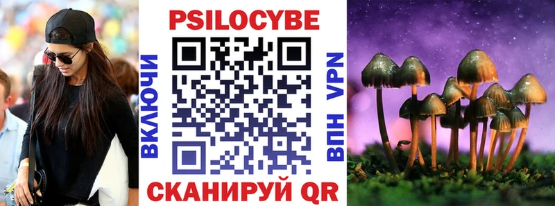 где найти   Полярные Зори  Галлюциногенные грибы Psilocybe 