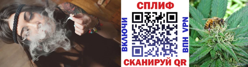 Бошки Шишки гибрид  ОМГ ОМГ ссылки  Полярные Зори 